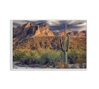 Stupell Industries Tall And Strong Cactus View White Framed Giclee Art design by Mike Jones, 16 x 24
