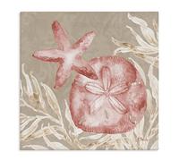 Stupell Industries Tampico Starfish and Sand Dollar Canvas Wall Art, design by Paul Brent, 24 x 24