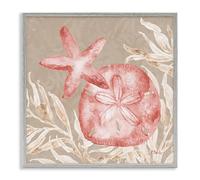 Stupell Industries Tampico Starfish and Sand Dollar Gray Framed Giclee Art, design by Paul Brent, 17 x 17