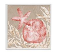 Stupell Industries Tampico Starfish and Sand Dollar White Framed Giclee Art, design by Paul Brent, 17 x 17