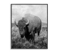 Stupell Industries Wandering Bison Monochrome Portrait Black Framed Giclee Art design by Marcus Prime, 30 x 24
