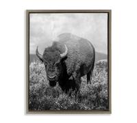 Stupell Industries Wandering Bison Monochrome Portrait Brown Framed Floater Canvas Wall Art design by Marcus Prime, 31 x 25