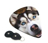 Stupid Husky Dog 6 Pack Guitar Picks With Holder, Personalized Guitar Plectrums Non-Slip Portable Ukulele Bass Picks 0.71mm For Acoustic Guitar Lovers Gifts