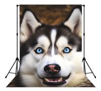 Stupid Husky Dog Backdrop Background for Photography, 5x7ft | High Density Polyester Fabric, Foldable, Non Reflective Photo Backdrop Curtain For Photoshoot Background Screen, Easy Setup