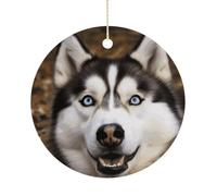 Stupid Husky Dog Hanging Ceramic Ornaments, Christmas Tree Decorations, Funny Home Decor Gifts for Women, Sisters & Work Best Friends