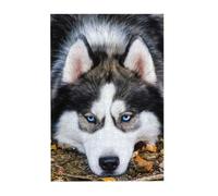 Stupid Husky Dog Prints Wooden Jigsaw Puzzle 300-Piece in Plastic Box, 26x38 CM Eco-Friendly Educational Puzzle for Family Fun & Adult Relaxation