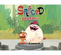 Stupid Means Never Having to say I'm Sorry / Cubewacked