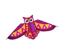 Sturdy Glass Fiber Owl Kites for Children Safe Outdoor Toy Winds Resistant Frame Prevents Breakage Encourages Active Play Colorful Bright Color Kites