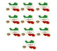 Sturdy Iran Lions Flag Brooch Lightweight and Comfortable Vintage Iran Souvenir Accessory for Daily Use Stainless Steel Brooch Flag