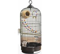 Sturdy Ventilated Metal Bird Cage for Lovebirds Budgies Parakeets Small Birds Indoor Outdoor Parrot House