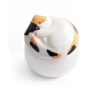 sturion Ceramic Cat Memorial Urn - Pet Urn for Cat Ashes, Ceramic Pet Keepsake, Forever in Our Hearts, Remembrance Box for Small to Medium Cats,Calico