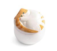 sturion Ceramic Cat Memorial Urn - Pet Urn for Cat Ashes, Ceramic Pet Keepsake, Forever in Our Hearts, Remembrance Box for Small to Medium Cats,Ginger