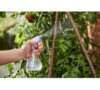 STV International Sprayer 330ML STV087