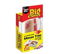 STV The Big Cheese Live Multi Catch Mouse Trap Baited Humane Reusable Holds 4 Mice