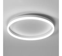 STVDEDG 3000-6000K Infinite Dimming Creative Ceiling Lamp LED Home Creative Flat Round Ceiling Light Flush Mount Modern Ultra-Thin Lighting Fixture for Kitchen, Hallway, Laundry Room, Entrance