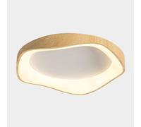 STVDEDG with Acrylic Lampshade Round Flat Ceiling Lamp LED PostModern Acrylic Lighting Fixture 3000-6000K Infinite Dimming Ceiling Light for Living Room Dining Room Study Bedroom Corridor