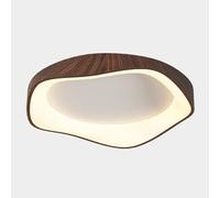 STVDEDG with Acrylic Lampshade Round Flat Ceiling Lamp LED PostModern Acrylic Lighting Fixture 3000-6000K Infinite Dimming Ceiling Light for Living Room Dining Room Study Bedroom Corridor