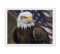 STVNKML American Bald Eagle 5D Diamond Painting Kit for Adults 12"x16" DIY Diamond Art Kits for Beginners, DIY Full Drill Gem Art Kits Creative Home Decor Craft Gift