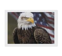 STVNKML American Bald Eagle 5D Diamond Painting Kit for Adults 8"x12" DIY Diamond Art Kits for Beginners, DIY Full Drill Gem Art Kits Creative Home Decor Craft Gift