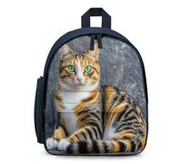 STVNKML Cat Backpack 12.6 Inch Casual Daypack with Multi-Pockets BookBag for Daily Essentials, Blue, One Size