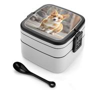 STVNKML Corgi Dogs Bento Box with Spoon & Handle - 2 Compartment Leak-Proof Stackable Lunch Box for Adults, BPA-Free Reusable Food Containers for Work, Travel, Picnic