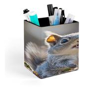STVNKML Funny Cute Squirrel Pen Holder, Pencil Holder for Desk, PU Leather Desktop Pen Cup Storage, Square Desk Pencil Pens Organizer, Makeup Brush Holder for Home Office