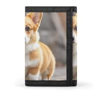 STVNKML Interesting Wombats Slim Wallets for Men Money Clip Card Holder Wallet Men's Trifold Wallet And Coin Pocket, Corgi Dogs, One Size, Modern