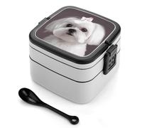 STVNKML Lovely Maltese Dog Bento Box with Spoon & Handle - 2 Compartment Leak-Proof Stackable Lunch Box for Adults, BPA-Free Reusable Food Containers for Work, Travel, Picnic