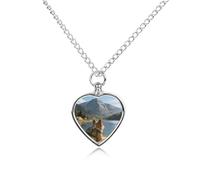 STVNKML Pet Cremation Jewelry - Camping Journal Heart Shaped Urn Necklace for Dog/Cat Ashes, Memorial Keepsake Pendant with Funnel & Gift Jewelry