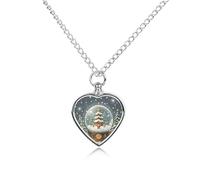 STVNKML Pet Cremation Jewelry - Christmas Snow Globe Heart Shaped Urn Necklace for Dog/Cat Ashes, Memorial Keepsake Pendant with Funnel & Gift Jewelry