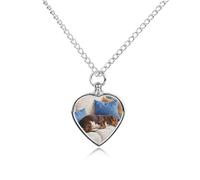 STVNKML Pet Cremation Jewelry - Colorful Elephant Painting Heart Shaped Urn Necklace for Dog/Cat Ashes, Memorial Keepsake Pendant with Funnel & Gift Jewelry, One Size, Zinc, No Gemstone