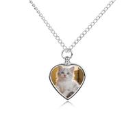 STVNKML Pet Cremation Jewelry - Cute Kitten Heart Shaped Urn Necklace for Dog/Cat Ashes, Memorial Keepsake Pendant with Funnel & Gift Jewelry