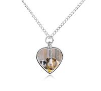 STVNKML Pet Cremation Jewelry - Greece Island Sunset Landscape Heart Shaped Urn Necklace for Dog/Cat Ashes, Memorial Keepsake Pendant with Funnel & Gift Jewelry, One Size, Zinc, No Gemstone