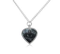 STVNKML Pet Cremation Jewelry - Minimal Panda Heart Shaped Urn Necklace for Dog/Cat Ashes, Memorial Keepsake Pendant with Funnel & Gift Jewelry, One Size, Zinc, No Gemstone