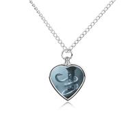 STVNKML Pet Cremation Jewelry - Peacock Pattern Heart Shaped Urn Necklace for Dog/Cat Ashes, Memorial Keepsake Pendant with Funnel & Gift Jewelry, One Size, Zinc, No Gemstone