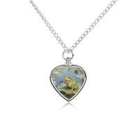 STVNKML Pet Cremation Jewelry - Peacock Pattern Heart Shaped Urn Necklace for Dog/Cat Ashes, Memorial Keepsake Pendant with Funnel & Gift Jewelry, One Size, Zinc, No Gemstone
