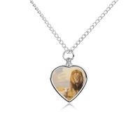 STVNKML Pet Cremation Jewelry - Rainforest Parrot Heart Shaped Urn Necklace for Dog/Cat Ashes, Memorial Keepsake Pendant with Funnel & Gift Jewelry, One Size, Zinc, No Gemstone