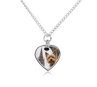STVNKML Pet Cremation Jewelry - Teton Prairie Heart Shaped Urn Necklace for Dog/Cat Ashes, Memorial Keepsake Pendant with Funnel & Gift Jewelry, One Size, Zinc, No Gemstone