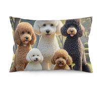 STVNKML Poodles Dogs Pillow Covers 12 "x20 Double-Sided Soft Plush Pillowcase Square Cushion Case with Hidden Zipper for Sofa Bed Chair, Farmhouse Holiday Decor, Home Gift