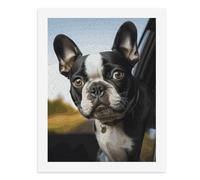 STVNKML Puppy Dog Boston Terrier Paint by Numbers Kit for Adults Beginners DIY Adult Paint by Number Kits on Canvas Digital Oil Number Painting Kits for Home Decor Gift 40x30cm
