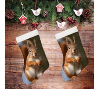 STVNKML Squirrel Funny Animal Personalized Christmas Stocking - 16.5 Inch Double-Sided Pattern Santa Stockings for Fireplace, Family Holiday Decor, Xmas Tree Hanging Sock with Gift Loop