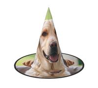 STVYUKL Cute Labrador Dog Halloween Witch Hats 1, Witches Hat Mens Womens Floating Hats Costume Accessories Indoor Outdoor Halloween Decorations For Porch Yard Indoor Outdoor Decor Party Supplies