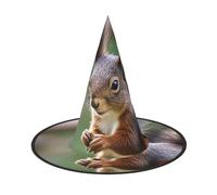 STVYUKL Cute Squirrel Halloween Witch Hats 3 Pcs, Witches Hat Mens Womens Floating Hats Costume Accessories Indoor Outdoor Halloween Decorations For Porch Yard Indoor Outdoor Decor Party Supplies