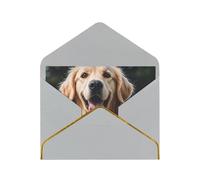 STVYUKL Greeting Card with Light Grey Envelopes, Thinking of You Card Funny Golden Retriever Happy Birthday Wedding Invitation Blank Note Cards for All Occasions 4x6