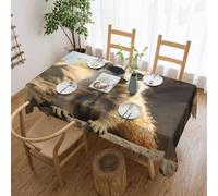 STVYUKL Meerkat Animal Tablecloth Stain and Wrinkle Resistant Washable Table Cover Rectangular Kitchen Table Cloth for Dinning Room Kitchen Picnic Patio Party Decor 54x72 Inch