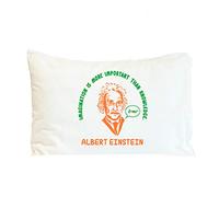 Style In Print Pillow Case Imagination is More Important Than Knowledge - Albert Einstein Funny & Novelty Polyester Home Decor Bed Pillow Covers Design Only 30x20 Inches