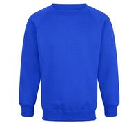 Style Lockers® Kids Boys Sweatshirt Back to School Fleece Plain Jumper Round Neck Pullover Uniform Top Sweater Raglan Sleeve Royal Blue 9-10 Years