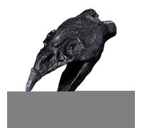 Style Whistle - Unique Skull Ornament, Ancient Sound Toy | Realistic Horror Noise Instrument, Handmade Collectible, Scary Novelty Gift for Display Decoration, Cultural Heritage Sound