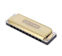 Stylebest Blues Harp Harmonica + Professional Mouthorgan + 10-Hole Diatonic Instrument + for Beginners + Blue Color (Gold)