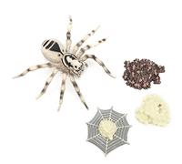 Stylebest Educational Model Toy Set for Kids, Highly Simulation Models for Fun Learning, Safe Non- Plastic, 4 Pieces Gift (tarantula spider)